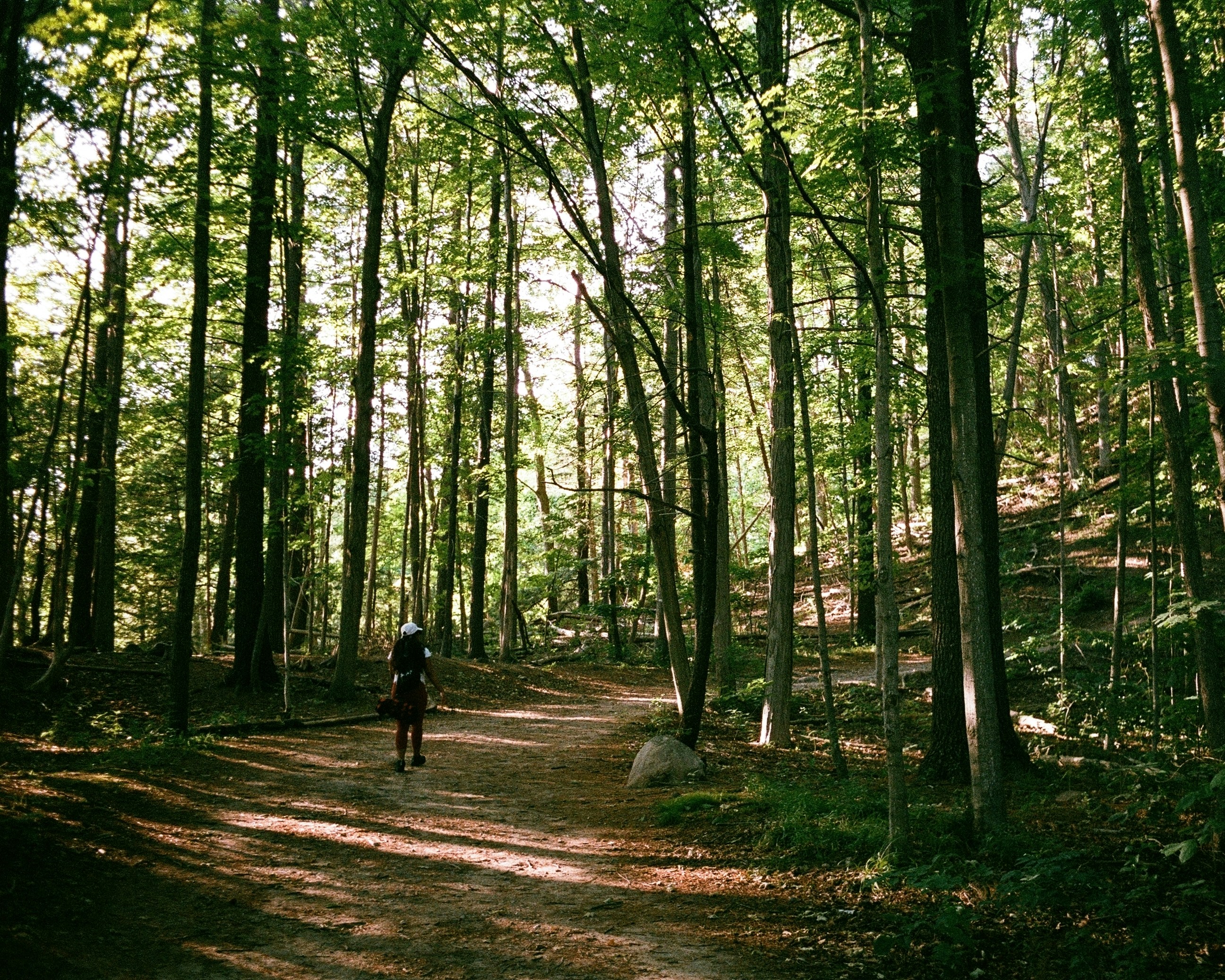 When the Past Stops Leading