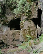 a cave in the side of a mountain with moss growing on it