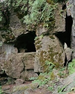 a cave in the side of a mountain with moss growing on it