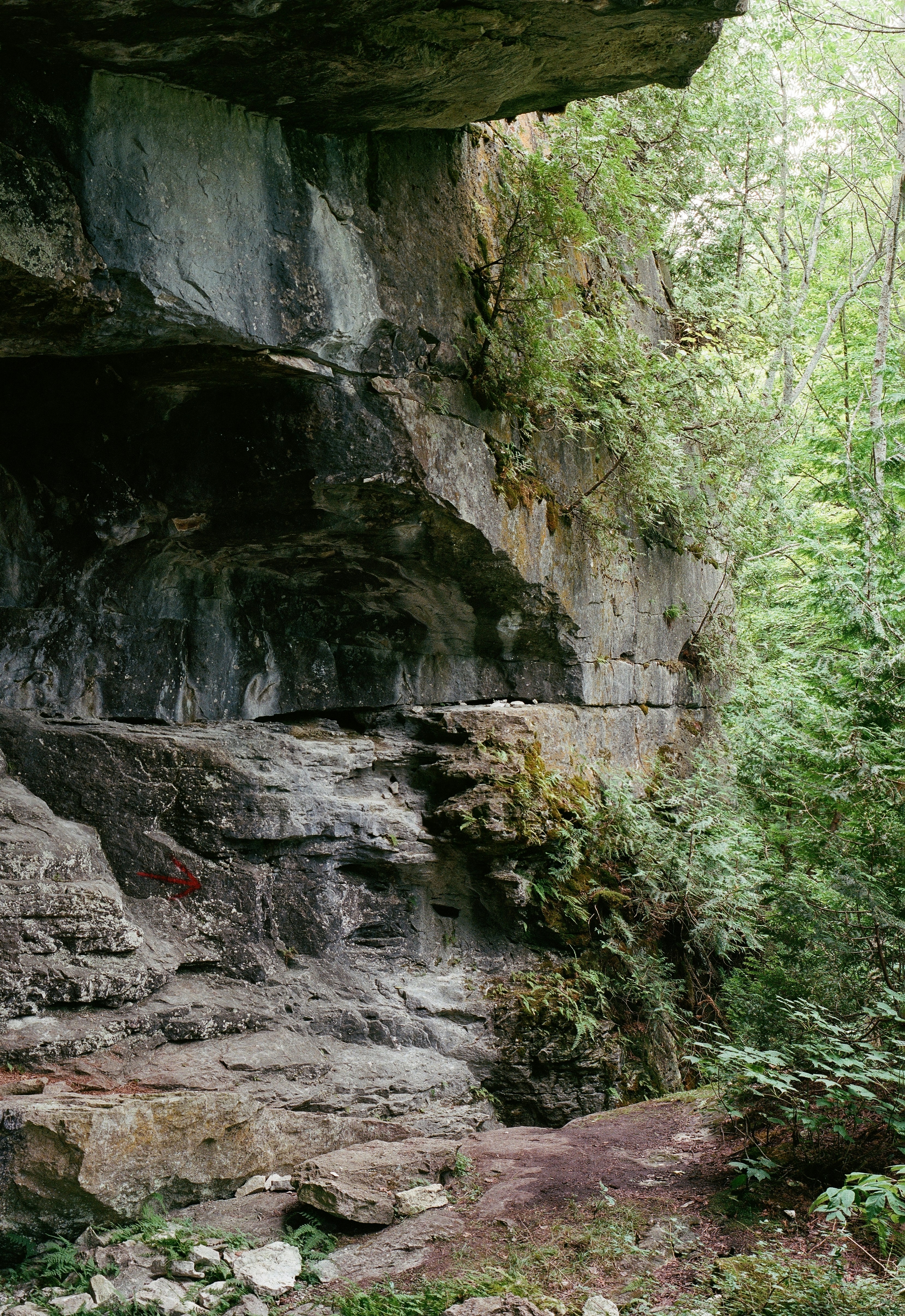 Photo by michaljagodzinski