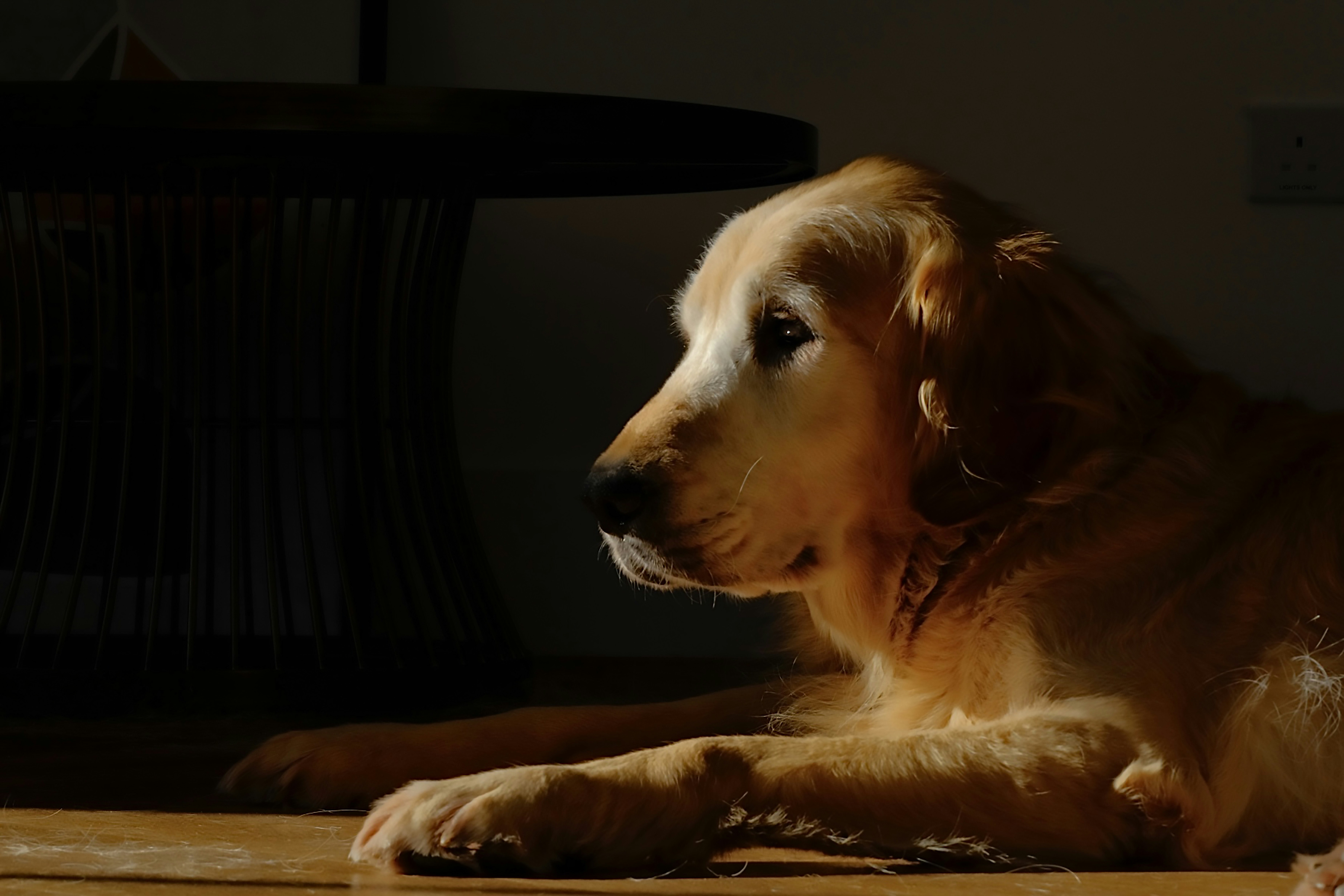 Photo by silentminds