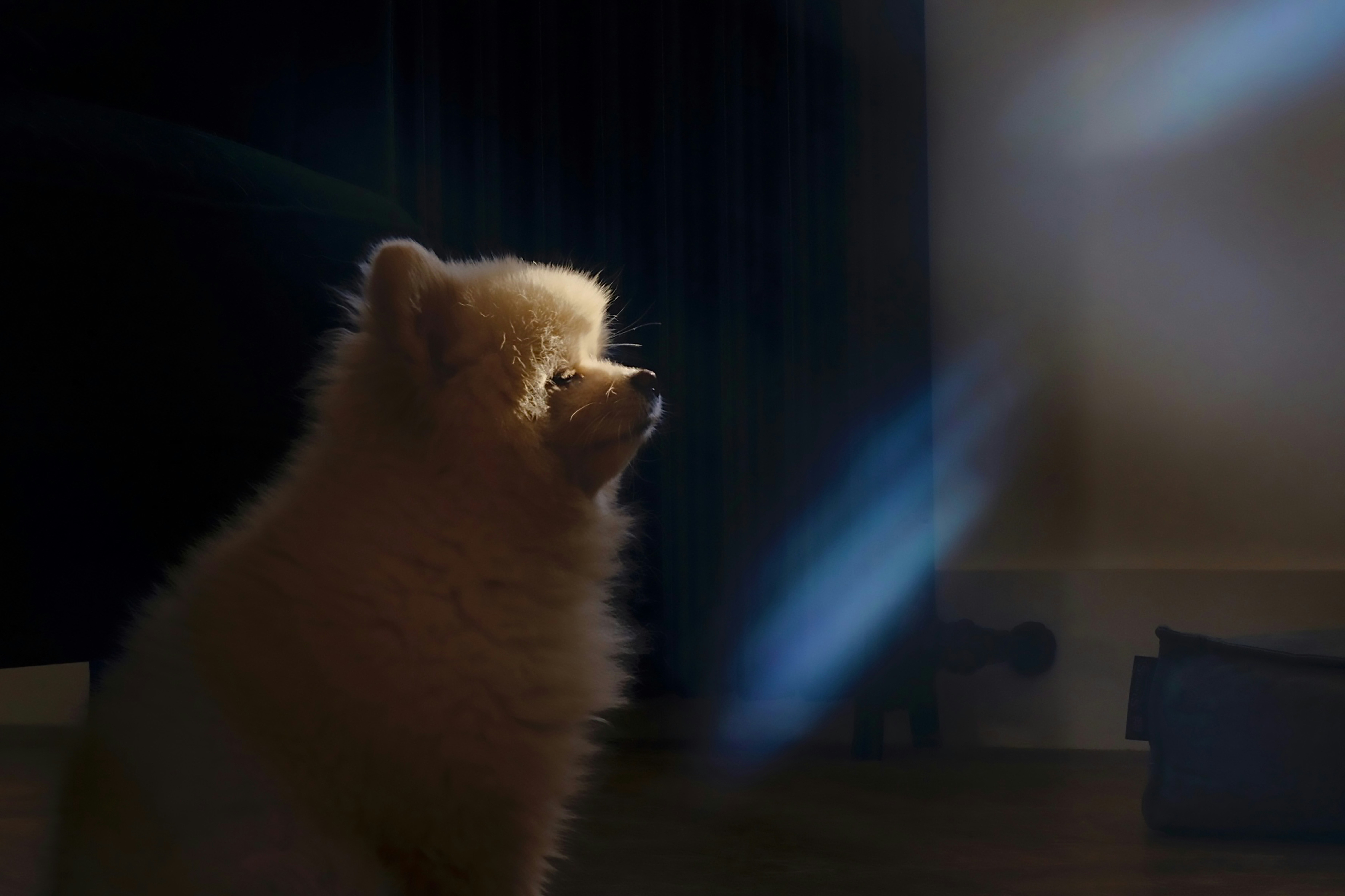 Prenota il tuo appuntamento