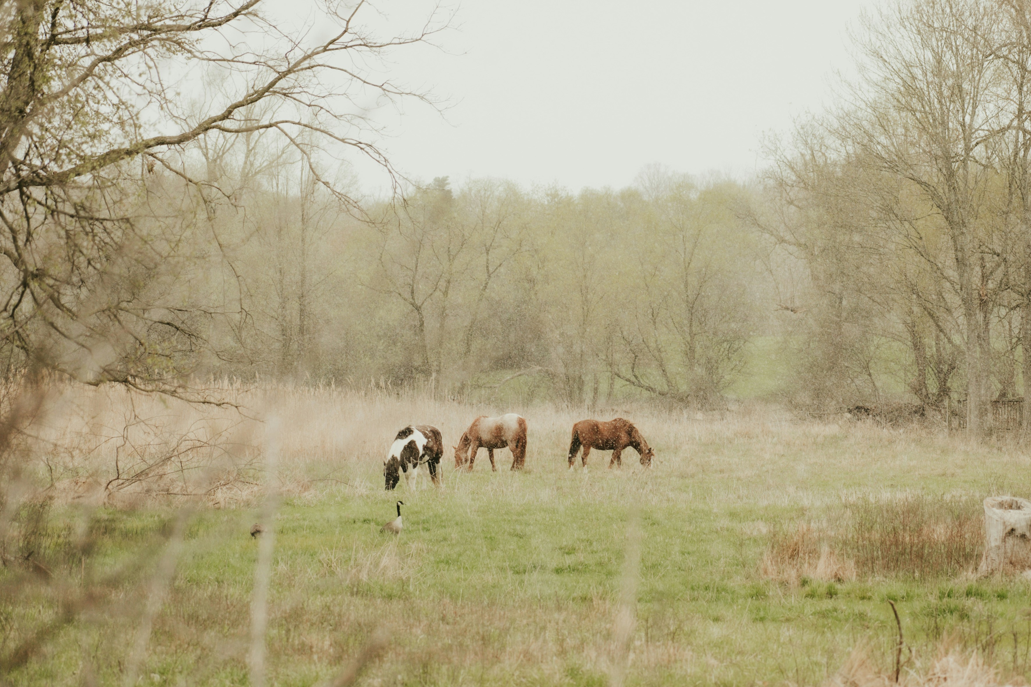 Photo by mariahhewines