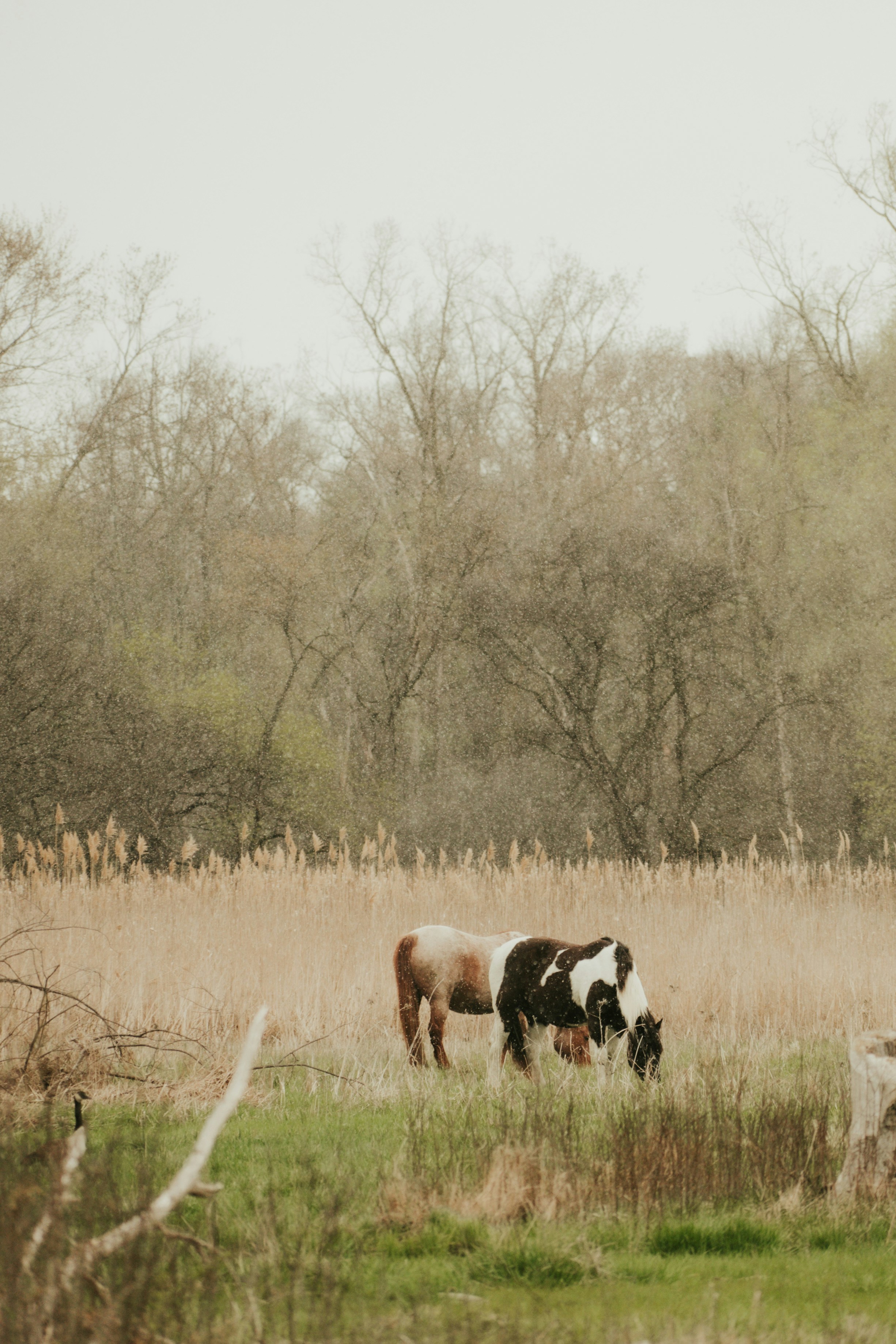 Photo by mariahhewines