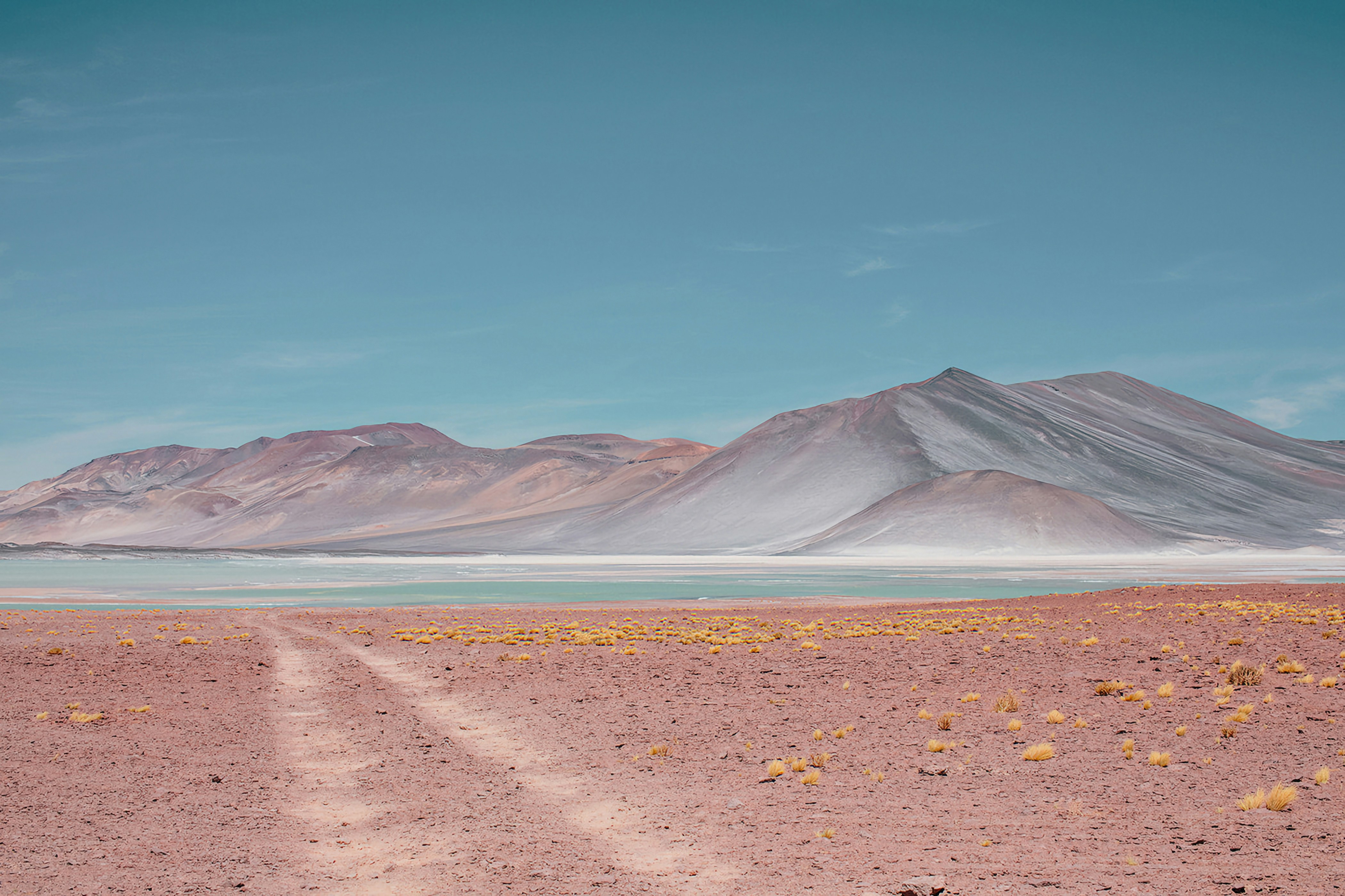 What the Desert Remembers: Legacy of the Lost Lakes (image credits: unsplash)