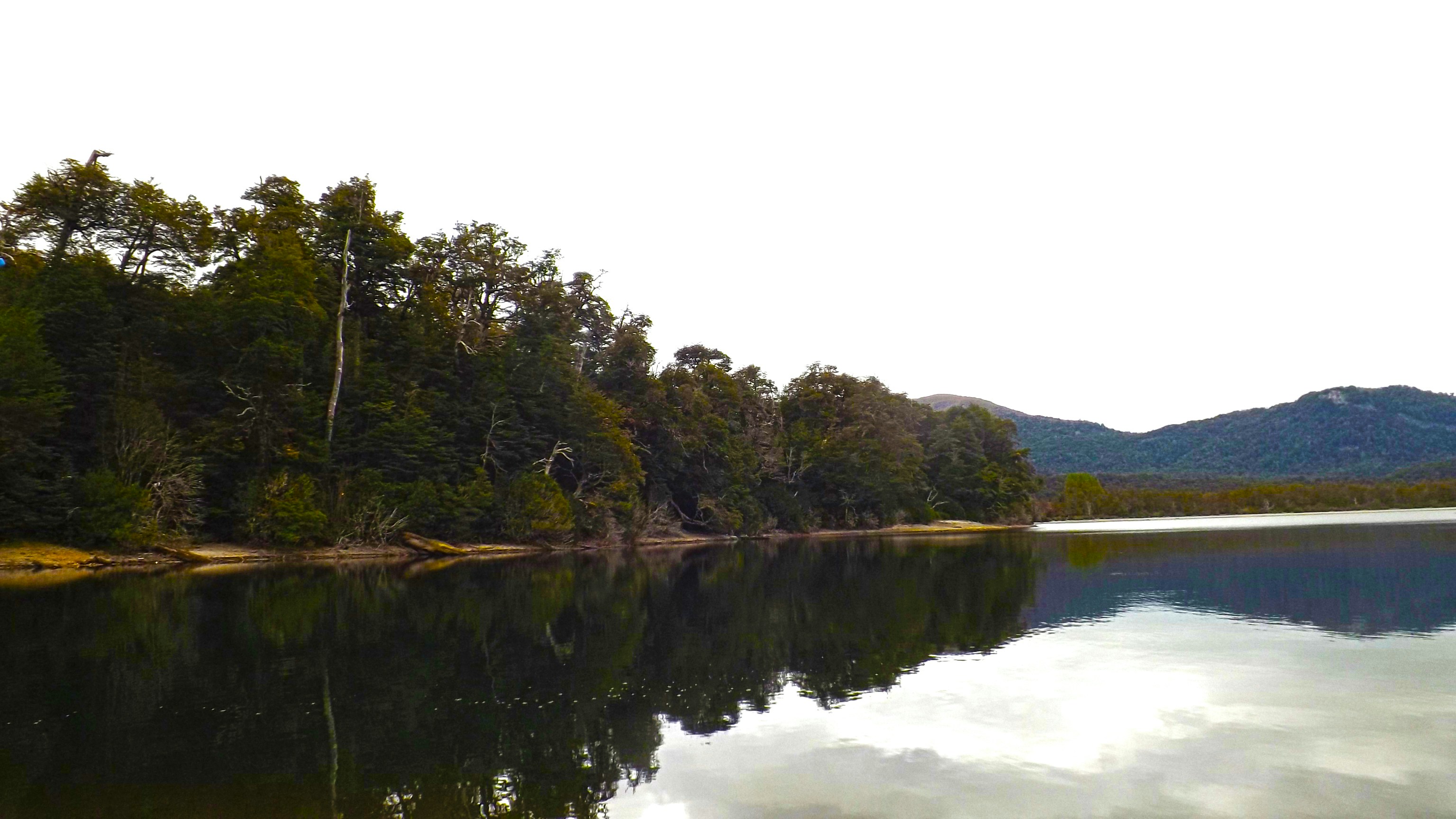 Photo by mauro_arrue