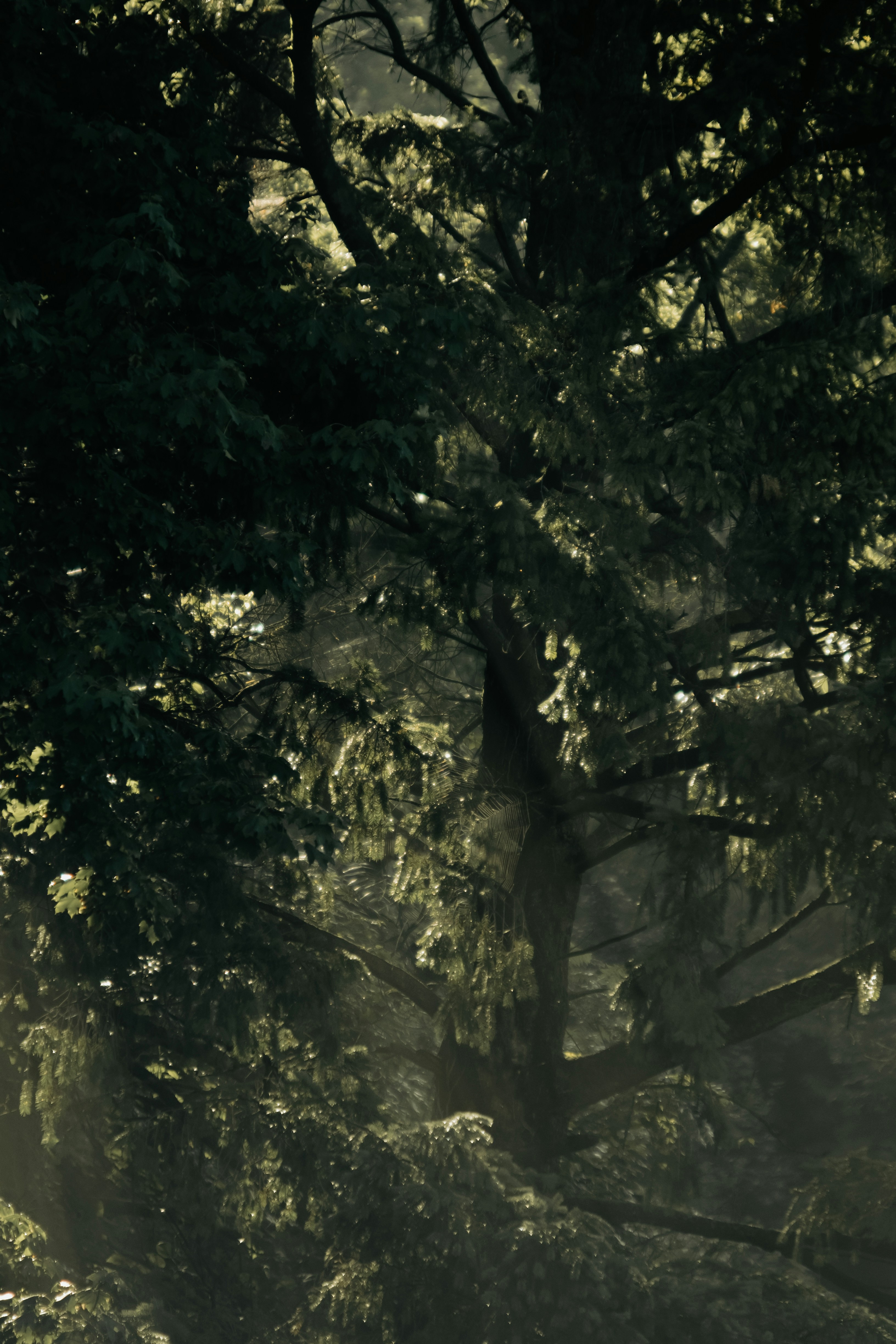 Photo by jhudsongraves