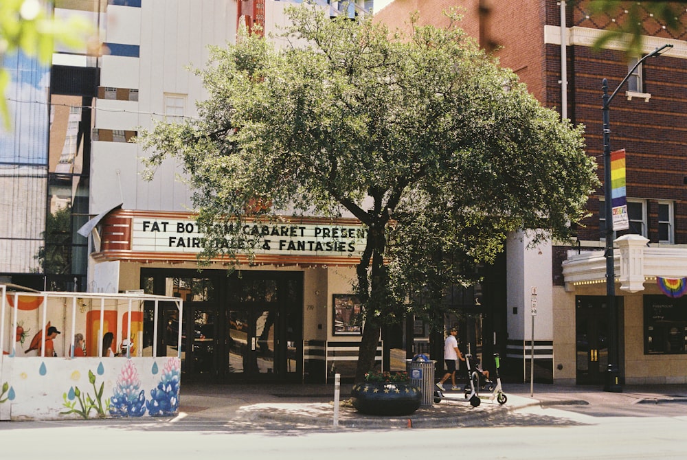 a building with a tree in front of it