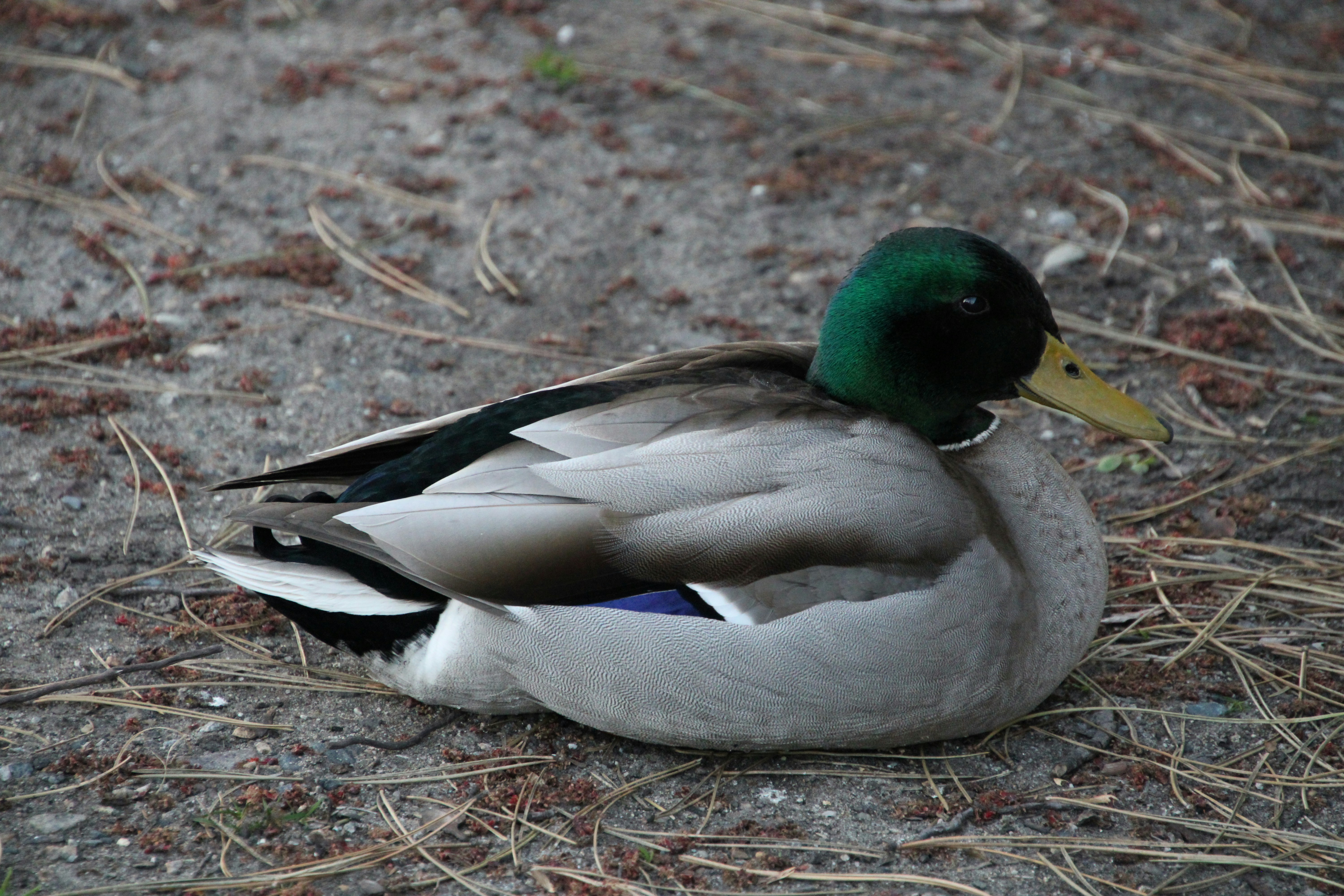 Photo by seandoherty886