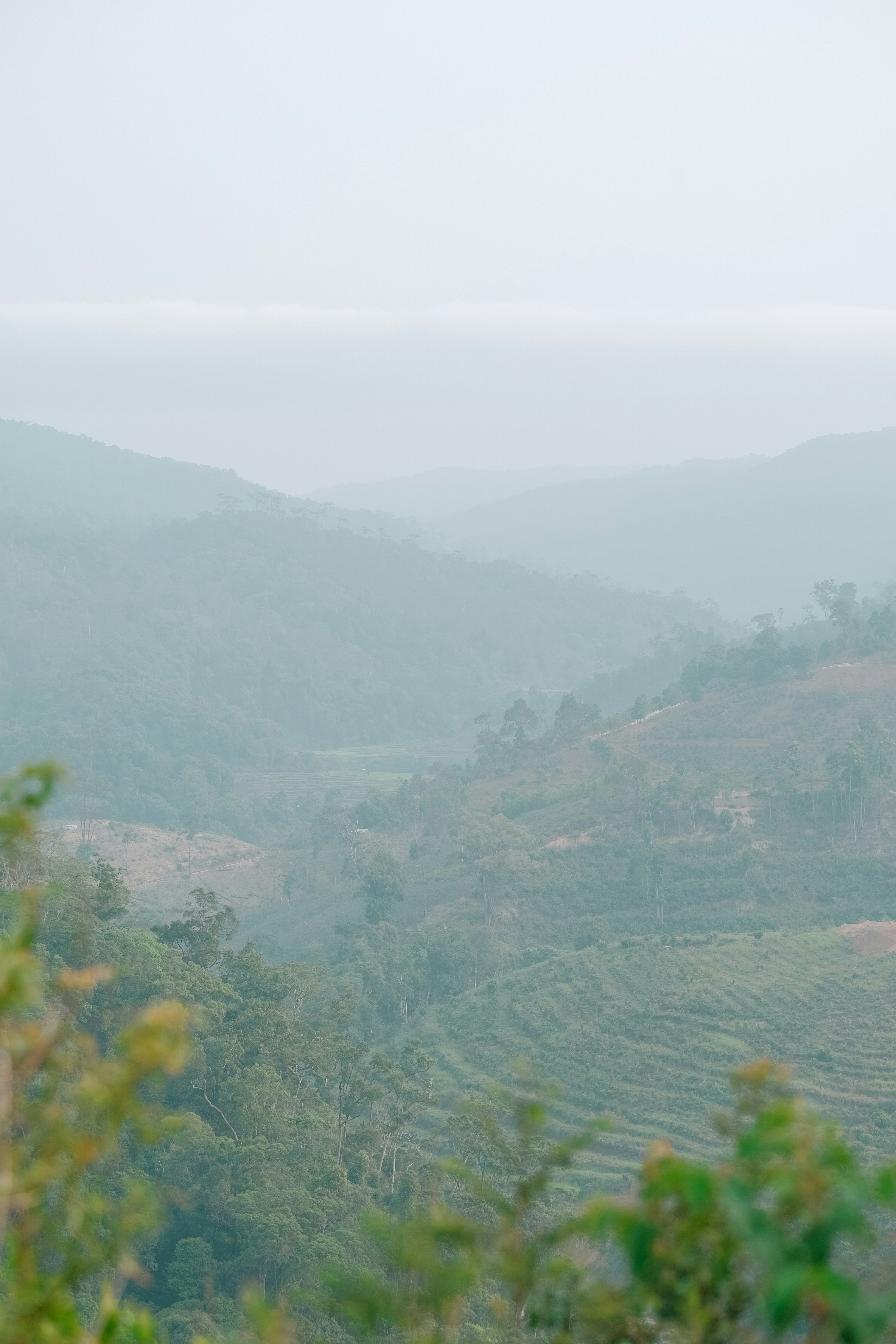 Photo by nguyentrungnguyen