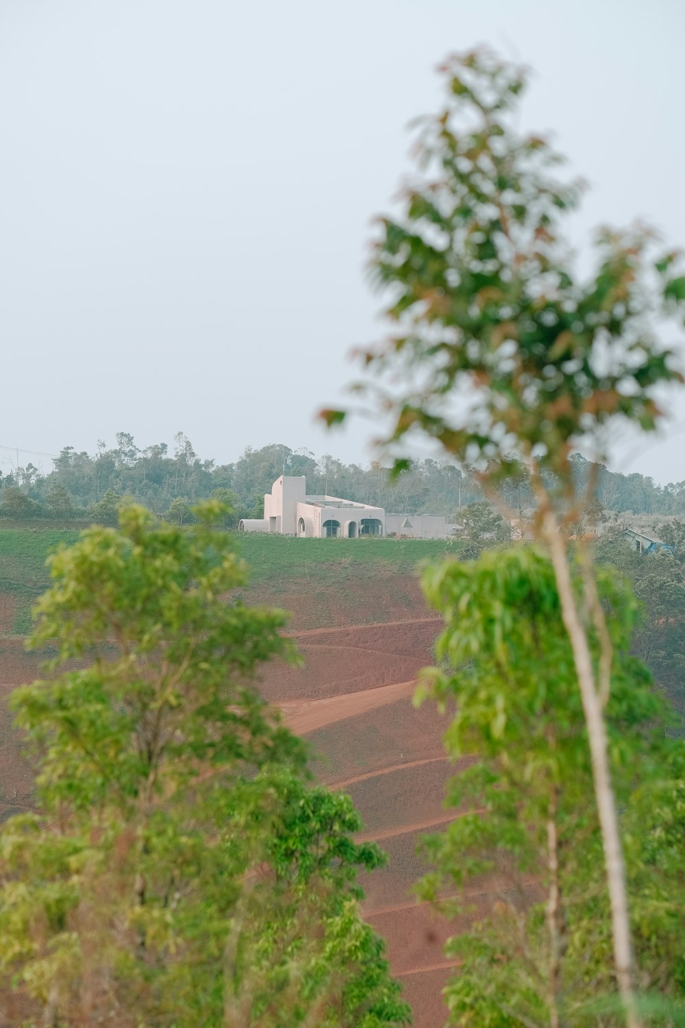 a house on a hill with trees in the foreground