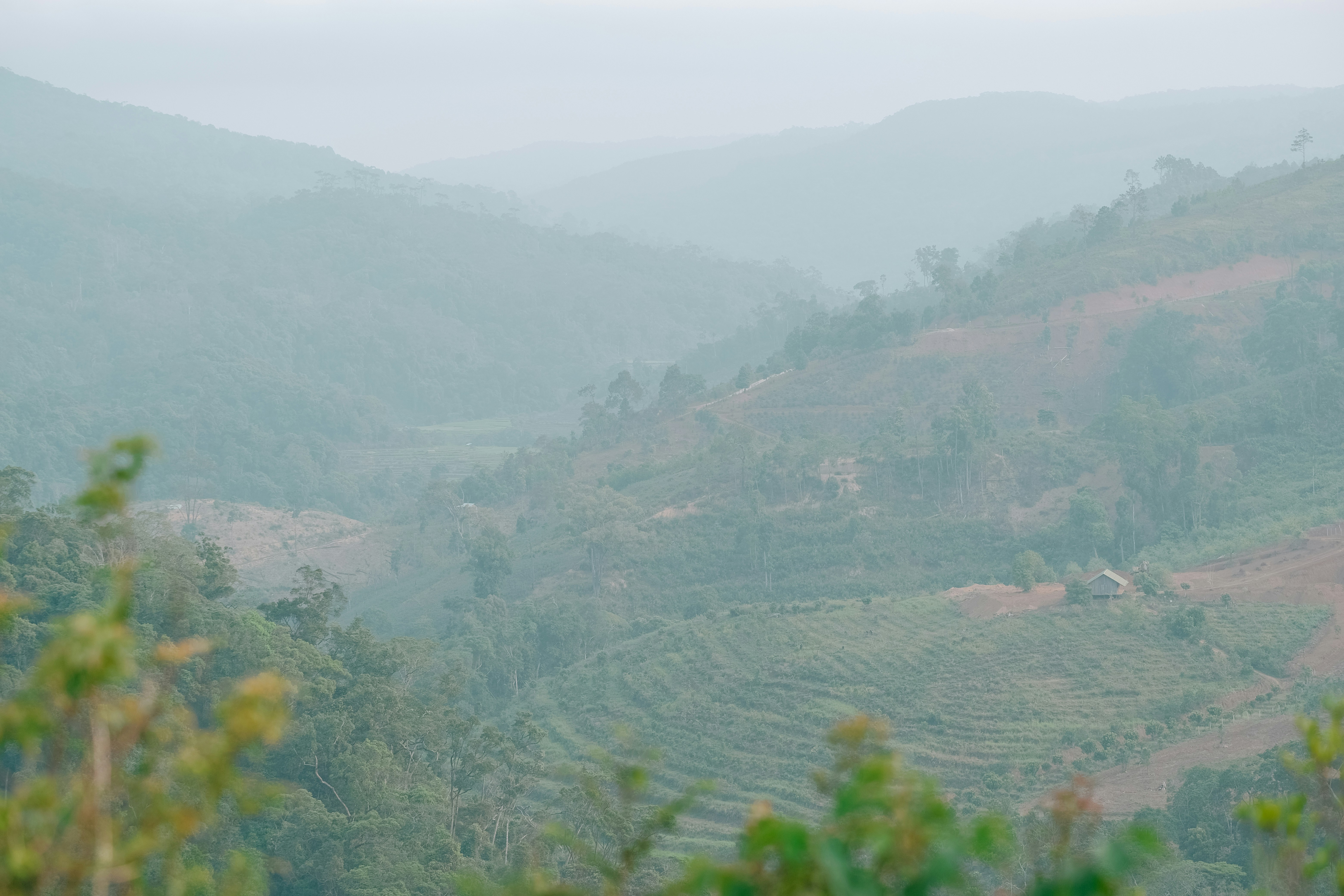 Photo by nguyentrungnguyen