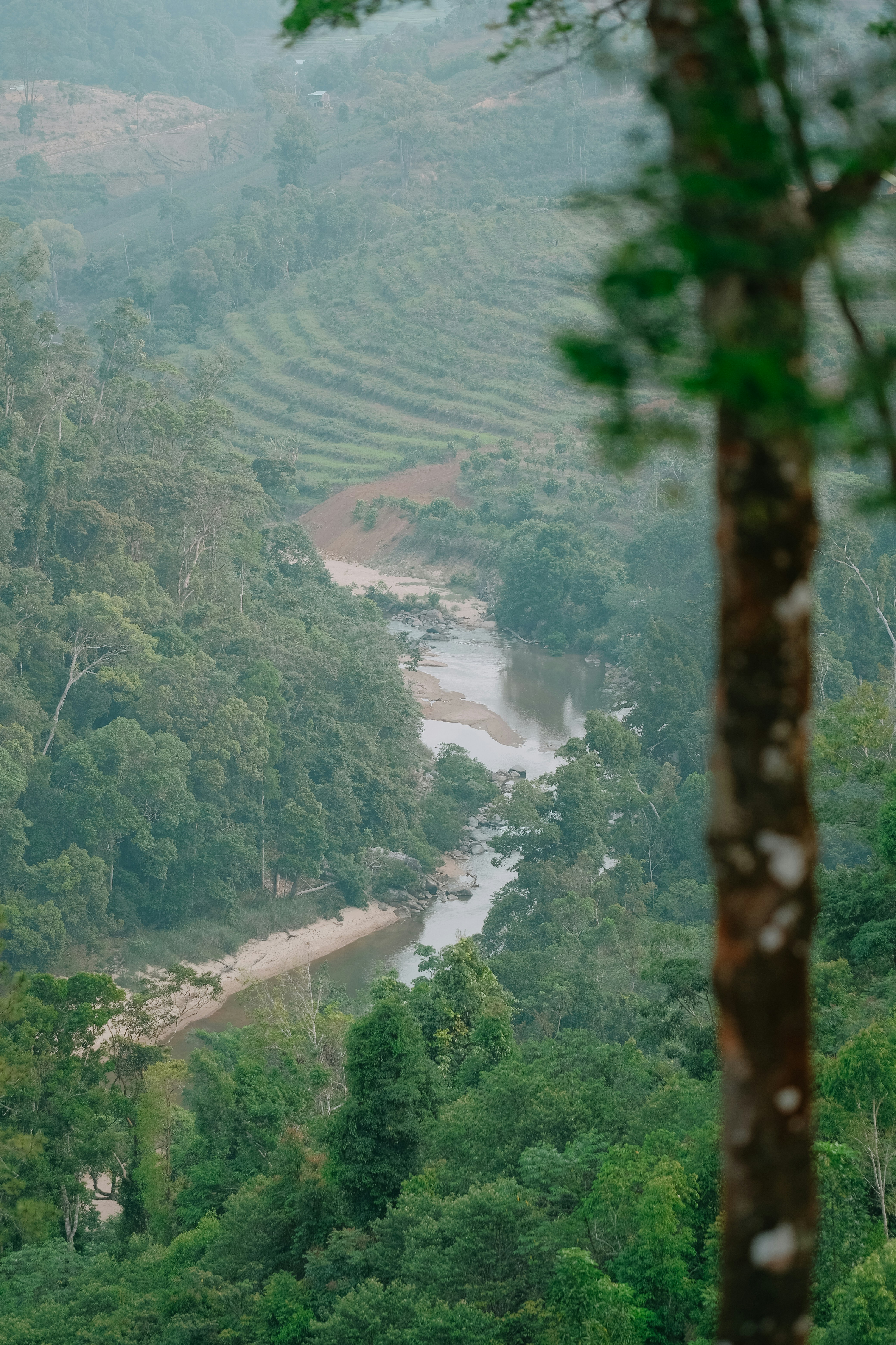 Photo by nguyentrungnguyen