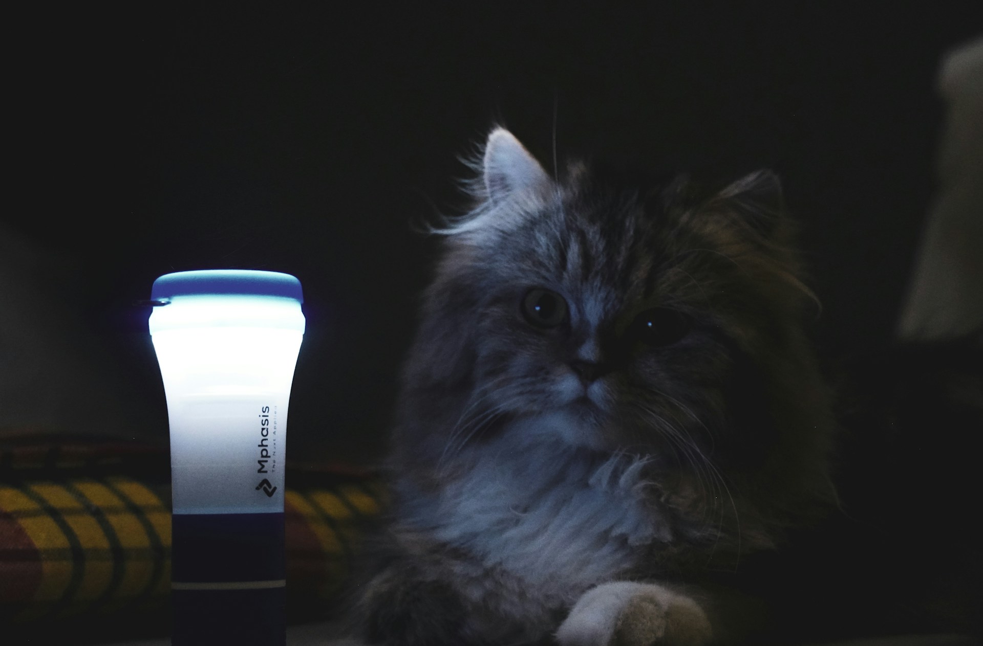 gray computer monitor