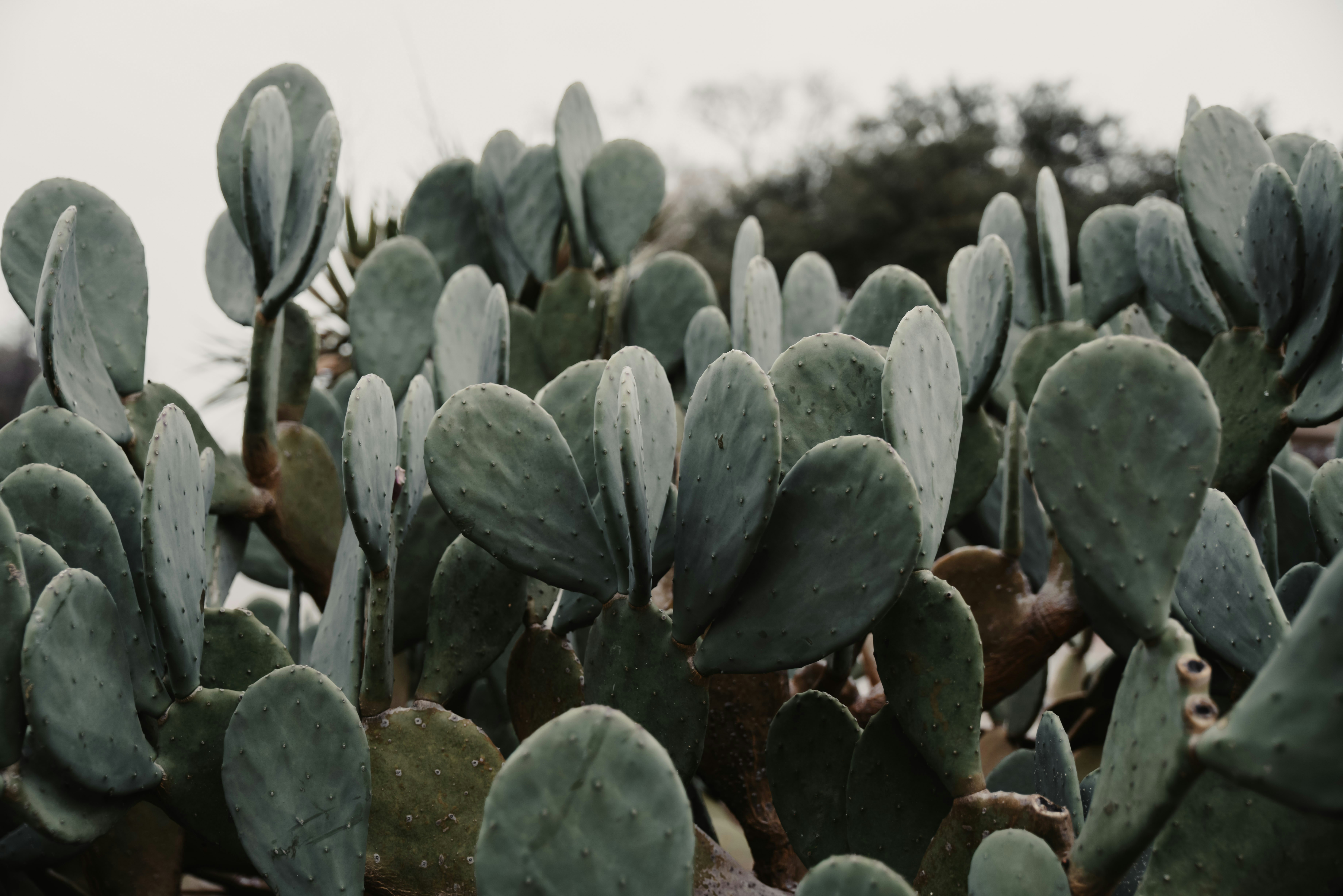 Photo by anitaaustvika