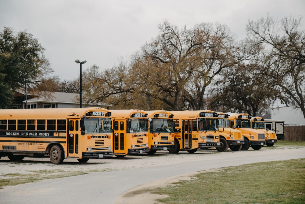a row of yellow school buses parked next to each other