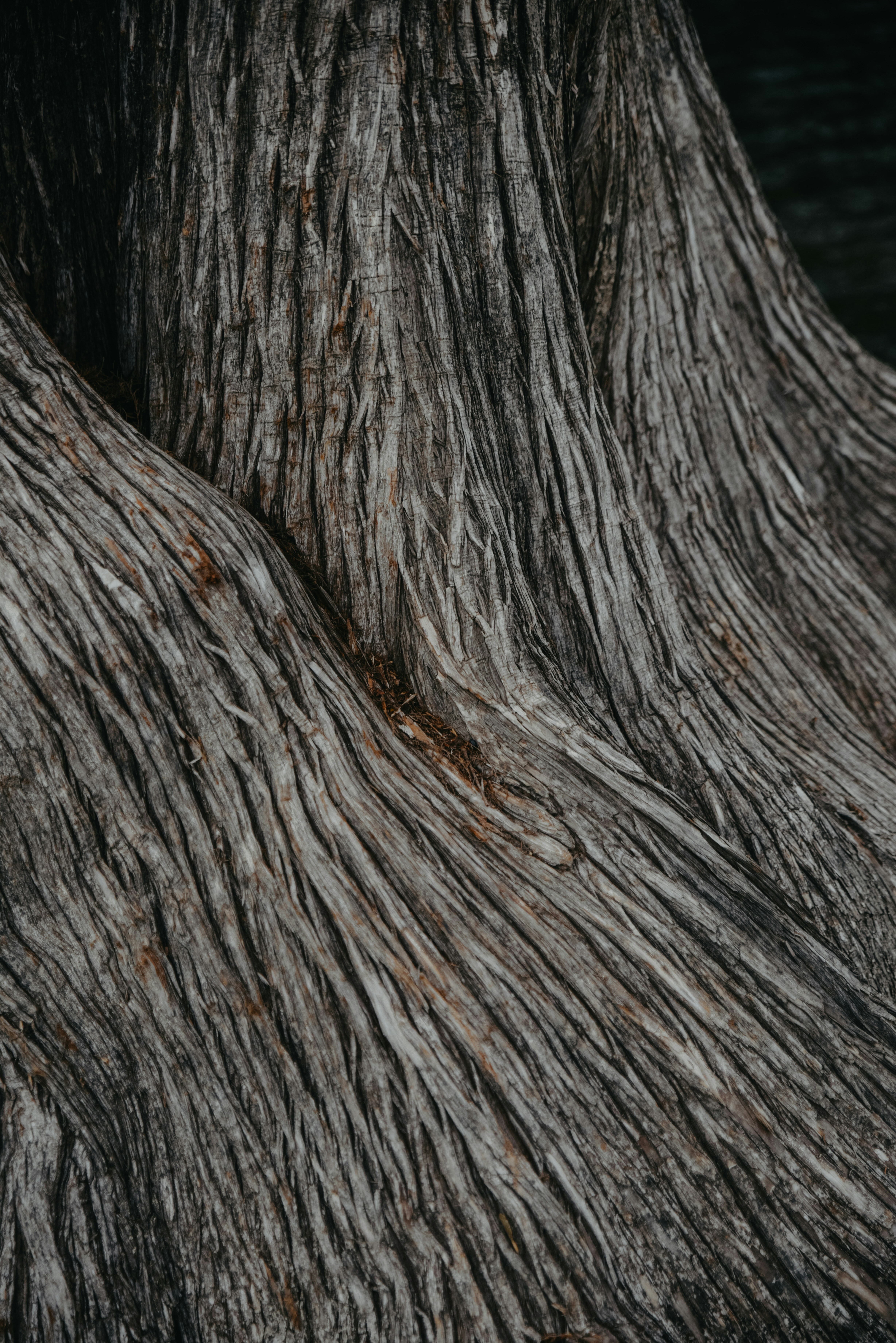 Photo by anitaaustvika