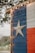 A wooden wall painted with the Texas flag design featuring vertical stripes of blue, white, and red, with a prominent white star in the middle of the blue section. The edge of the structure is adorned with small circular string lights. Trees and foliage are faintly visible in the blurred background, contributing to an outdoor setting.