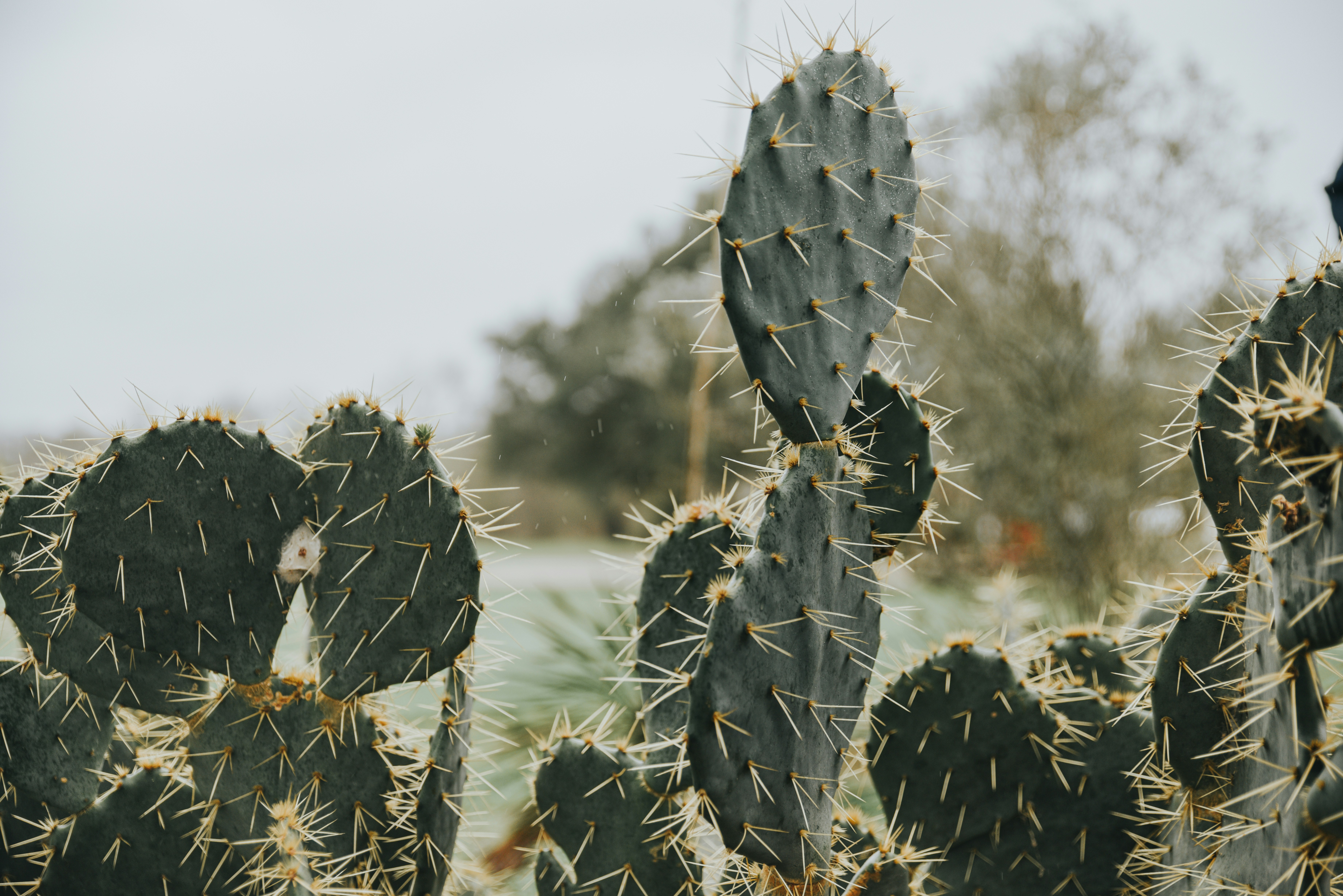 Photo by anitaaustvika