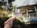 A hand holds a small ticket with Japanese writing against a blurred outdoor background featuring greenery and the side of a building.