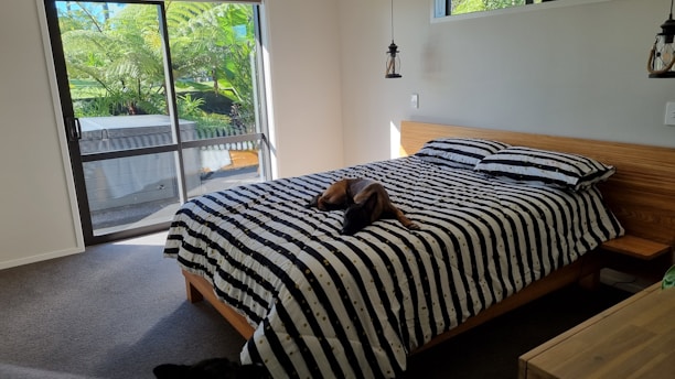 A bedroom with a minimalistic design featuring a bed with black and white striped bedding. A dog is resting in the middle of the bed. The room has a large sliding glass door leading to an outdoor area with lush green plants visible. Pendant lights hang from the ceiling, and the walls are painted a soft white.
