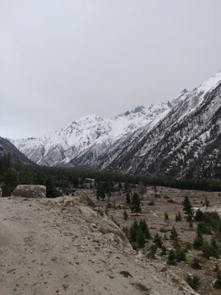 A wide open parcel in Coyhaique surrounded by mountains and native forest.