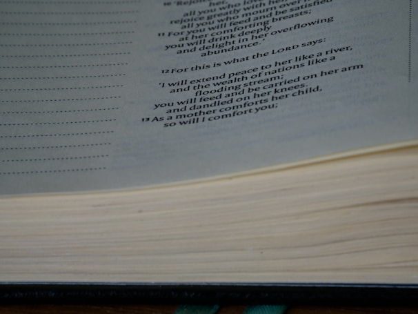 Close-up of a hand flipping through the pages of a philosophy book from Novum Editorial.