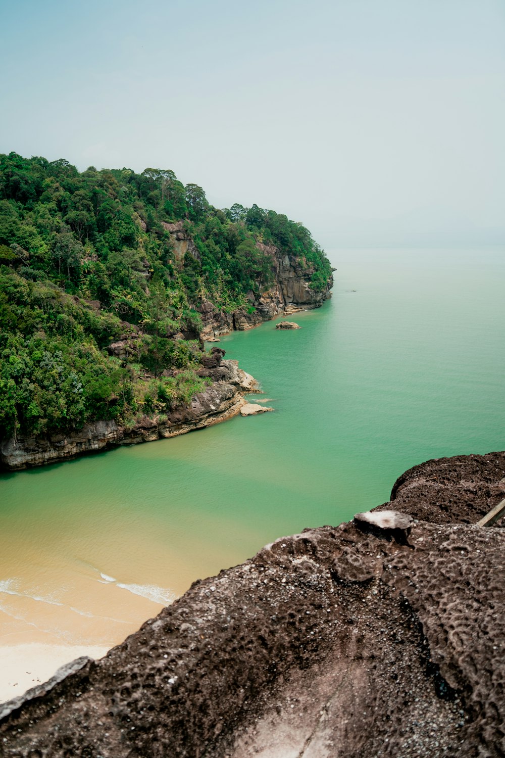 a large body of water surrounded by trees