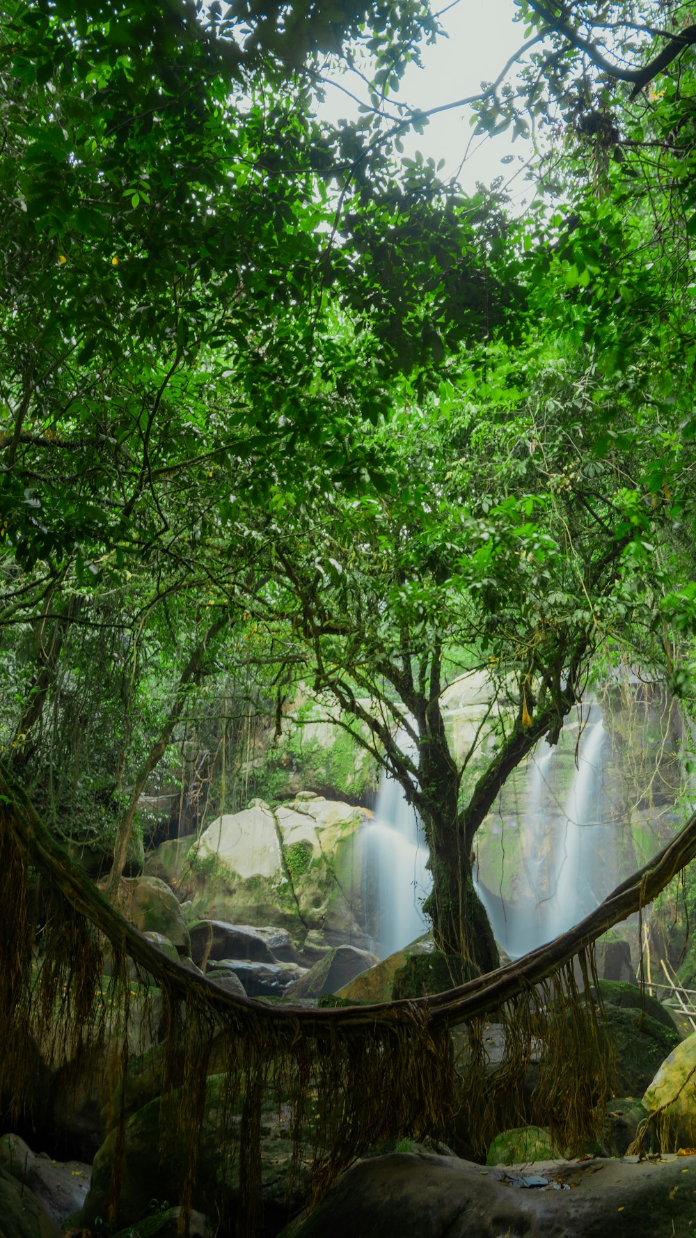 a large waterfall in the middle of a forest