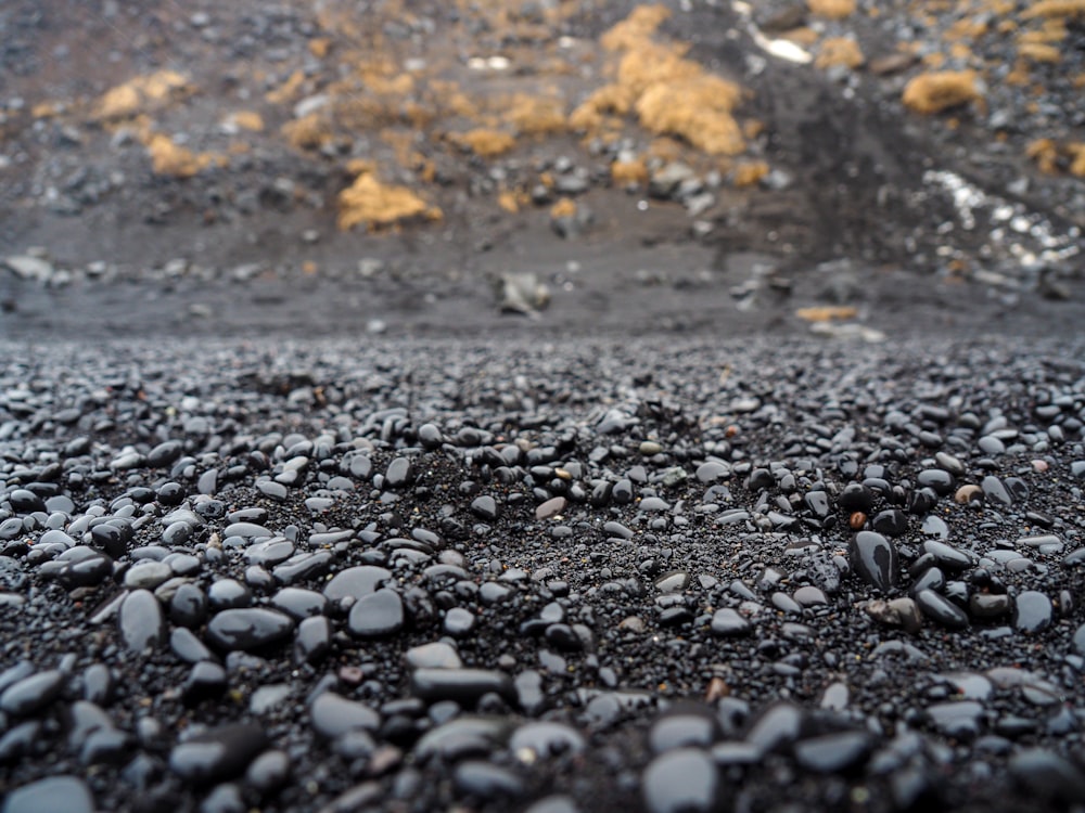 a close up of rocks and gravel on the ground