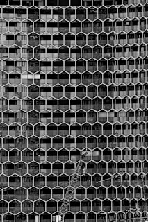 An intricate facade featuring a hexagonal grid design covers a building, creating a geometric pattern. A construction crane is positioned in front of the structure, indicating ongoing development or maintenance. The image is black and white, highlighting the contrast between the architectural details and the crane.