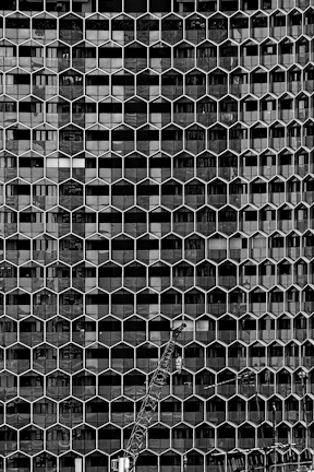 Reconstruction process showing the repaired facade after hive extraction
