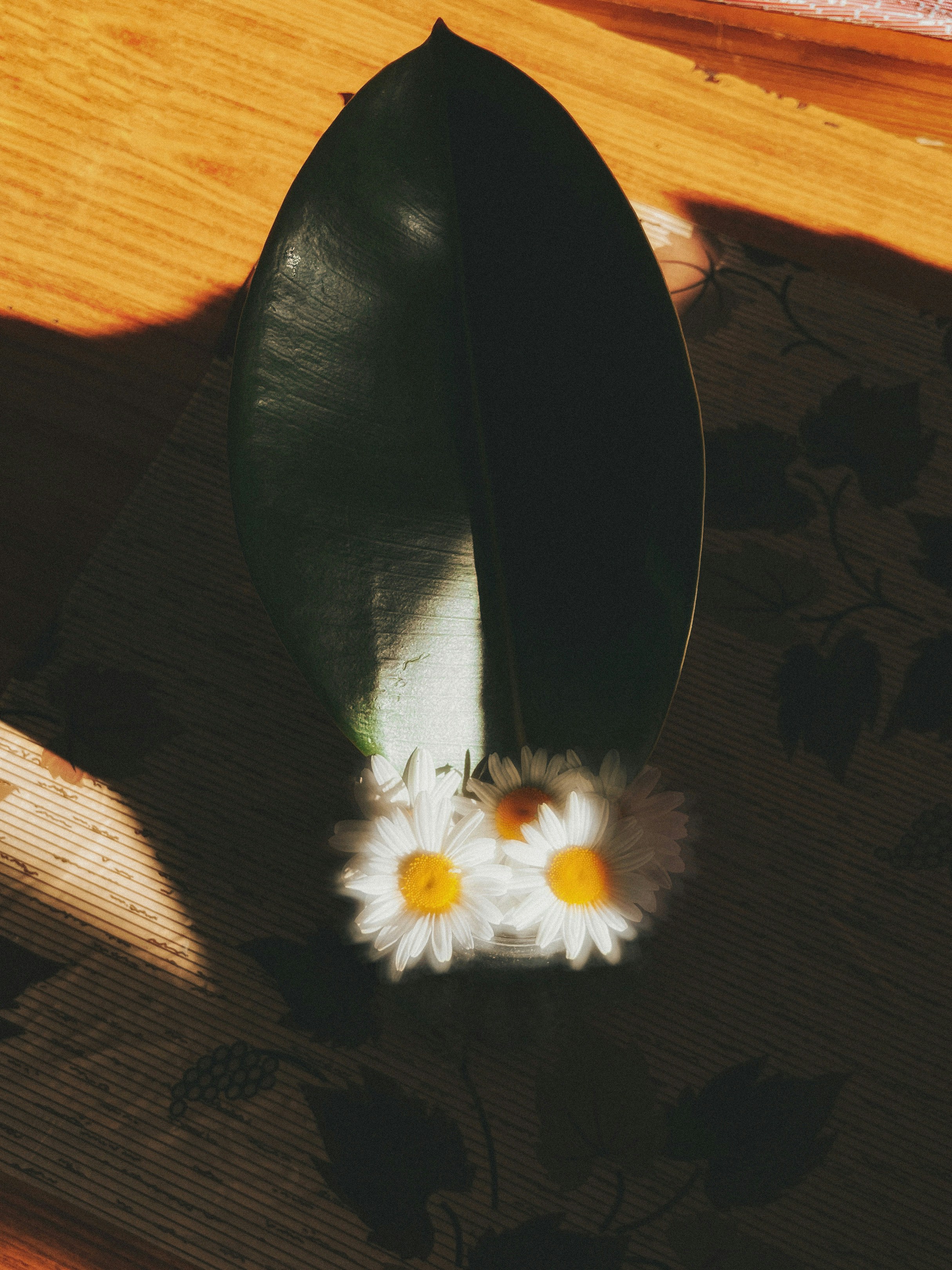 two daisies in a vase on a table