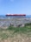 A large red cargo ship is moving through the blue ocean, with a clear sky above. In the foreground, there is a rocky shoreline with patches of green grass and some dry vegetation. The water near the shore is shallow and reveals some algae or seaweed.