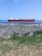 A large red cargo ship is moving through the blue ocean, with a clear sky above. In the foreground, there is a rocky shoreline with patches of green grass and some dry vegetation. The water near the shore is shallow and reveals some algae or seaweed.