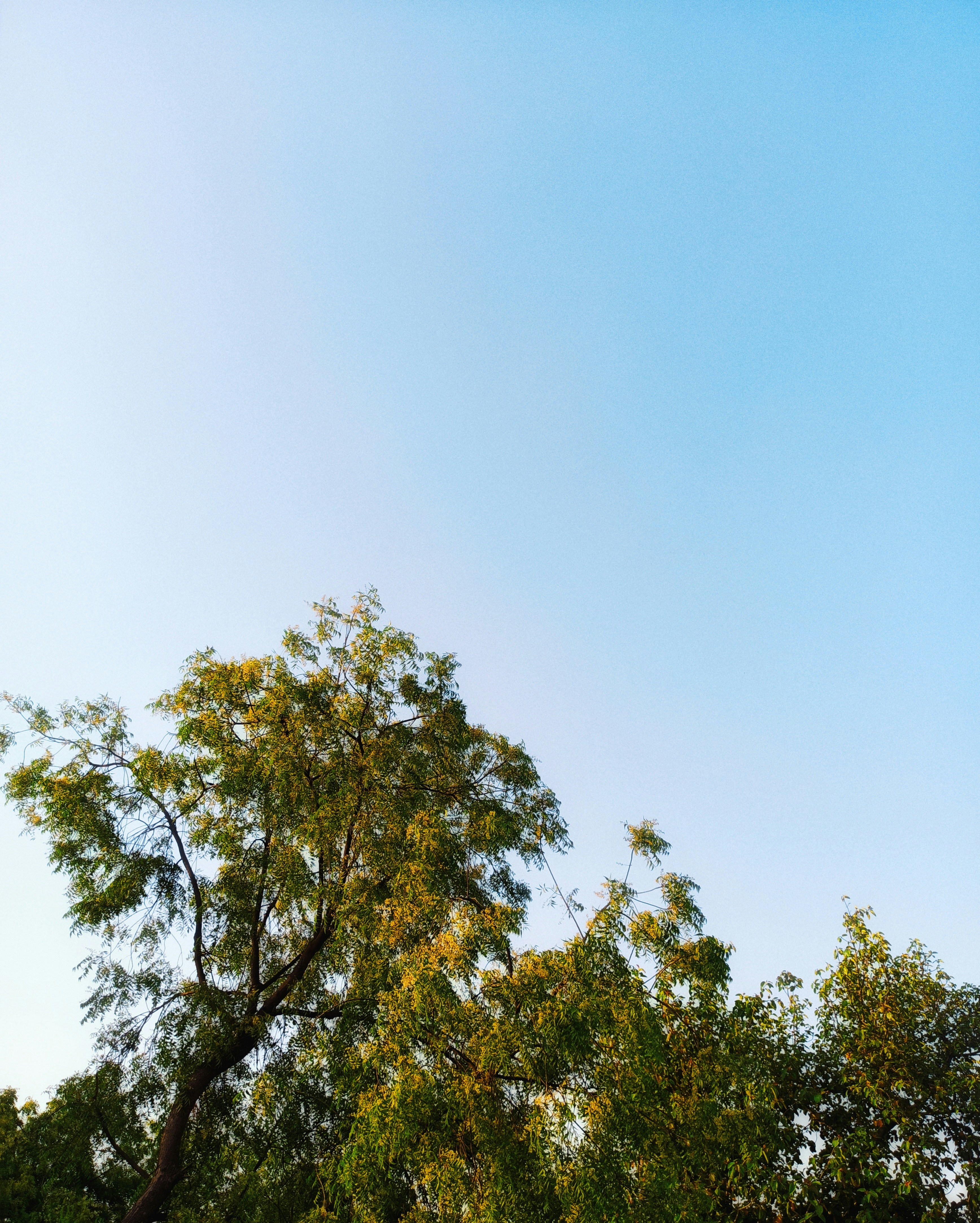 Photo by decomposeeeee