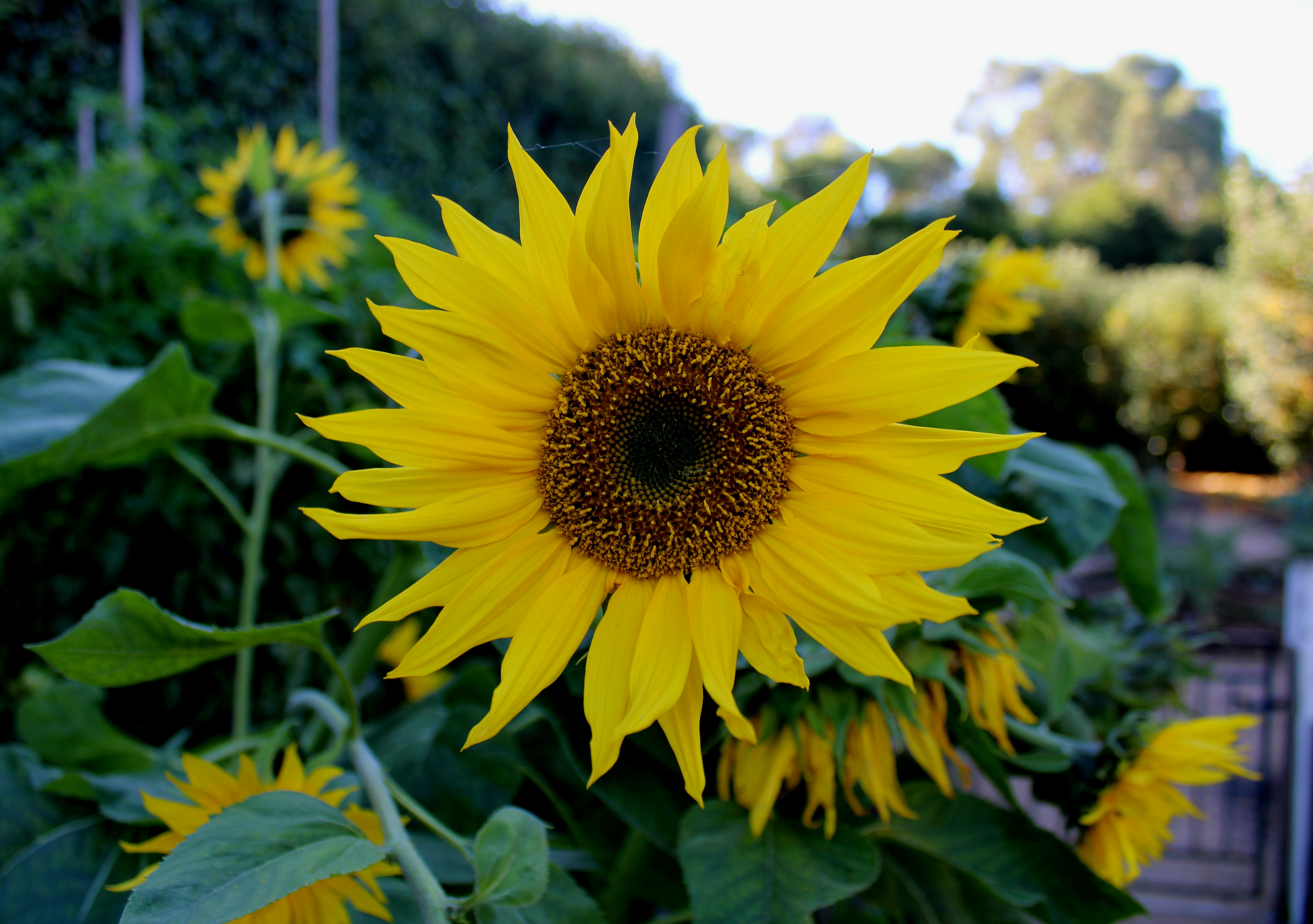 Photo by olivia_hibbins