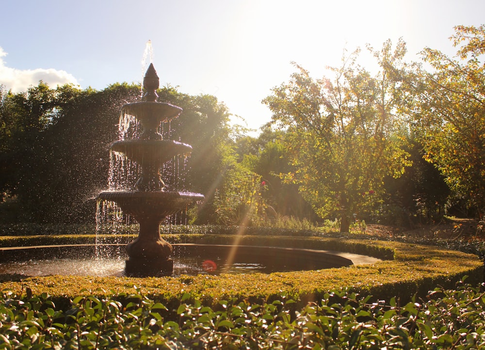 a water fountain in a park surrounded by trees