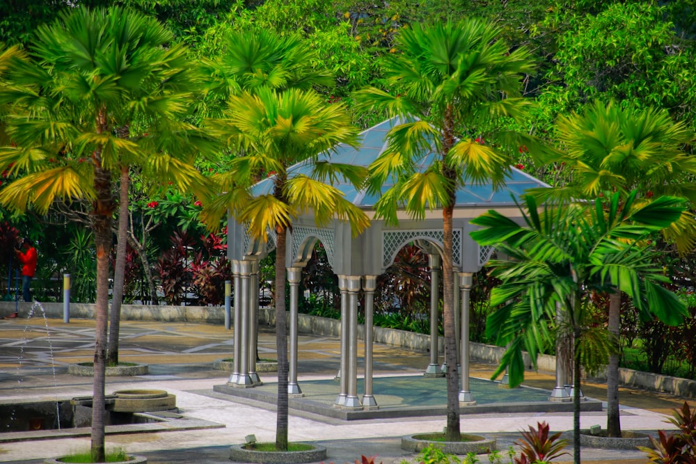a gazebo surrounded by palm trees in a park