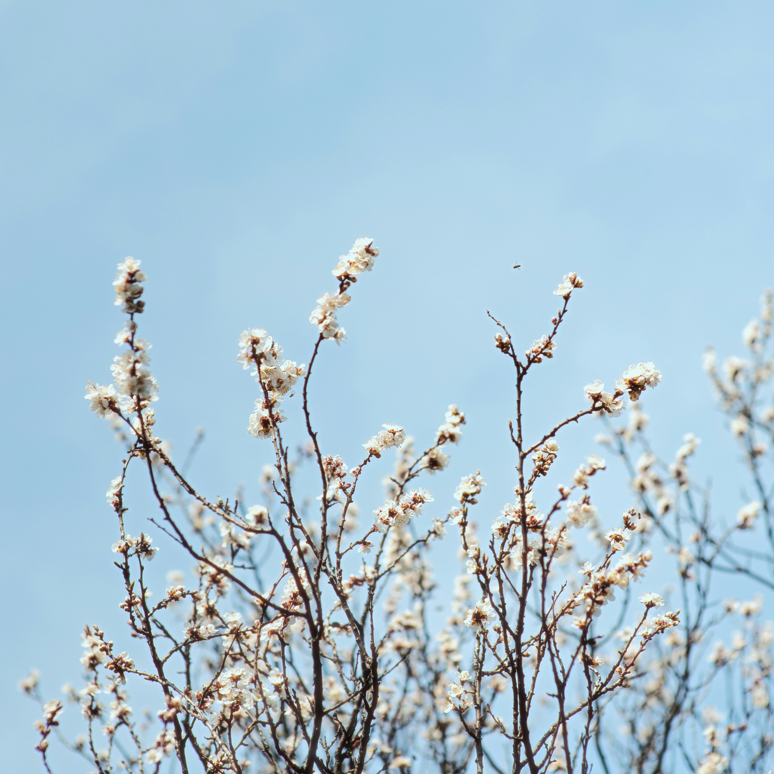 Photo by evil_bumblebee