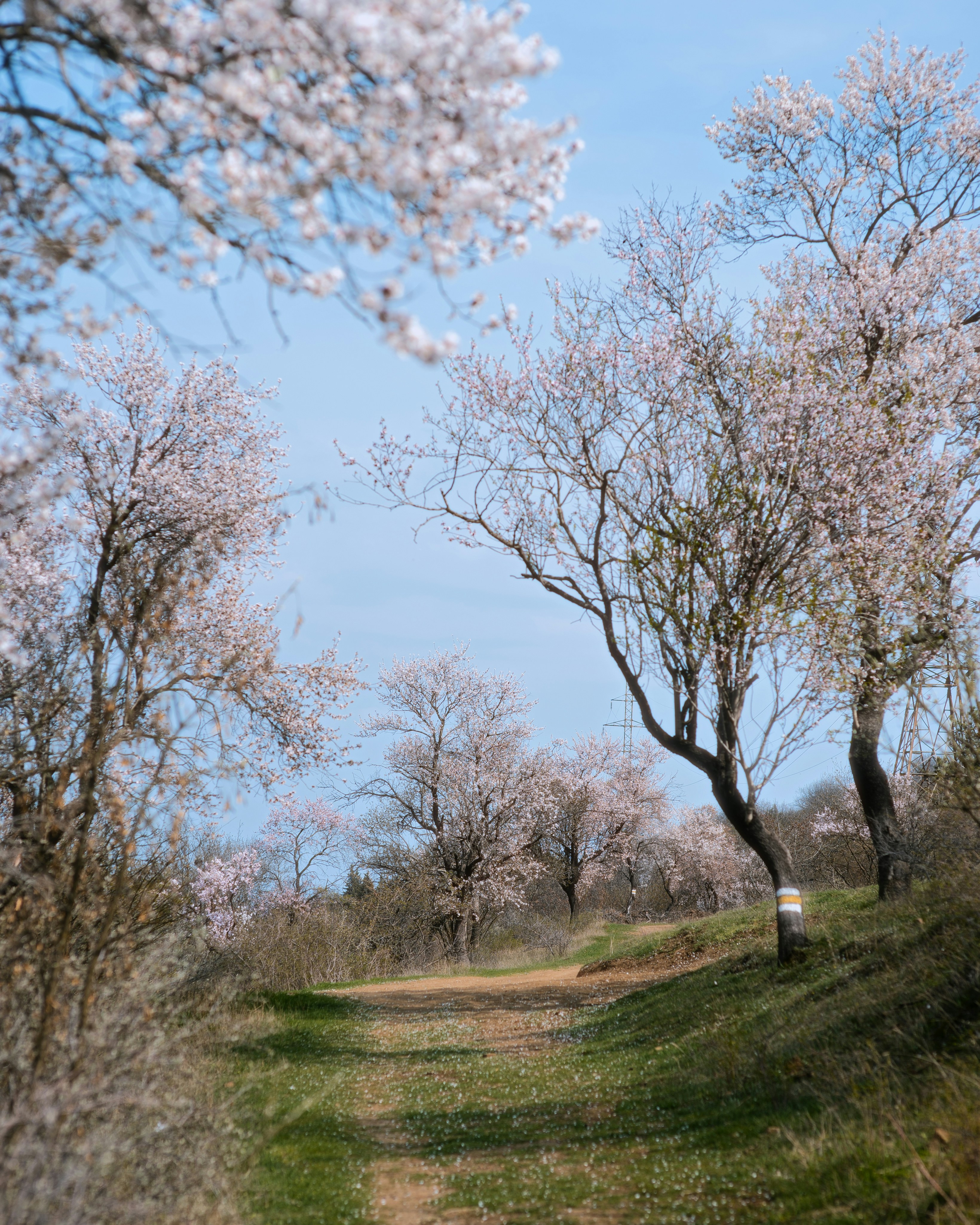 Photo by evil_bumblebee