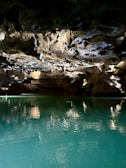 A serene underwater cave illuminated by a diver’s flashlight revealing stunning rock textures.