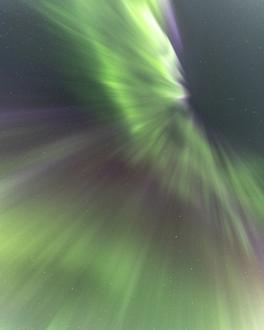 a green and purple aurora aurora aurora aurora aurora aurora aurora aurora aurora aurora aurora aurora