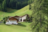 A group of chalet-style buildings is nestled in a lush, green hillside. The foreground features expansive grassy fields, while dense forests of tall trees line the background. A few ski lift poles are visible, suggesting this is a mountainous resort area. A large evergreen tree is prominent on the right side.