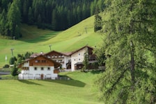 A group of chalet-style buildings is nestled in a lush, green hillside. The foreground features expansive grassy fields, while dense forests of tall trees line the background. A few ski lift poles are visible, suggesting this is a mountainous resort area. A large evergreen tree is prominent on the right side.