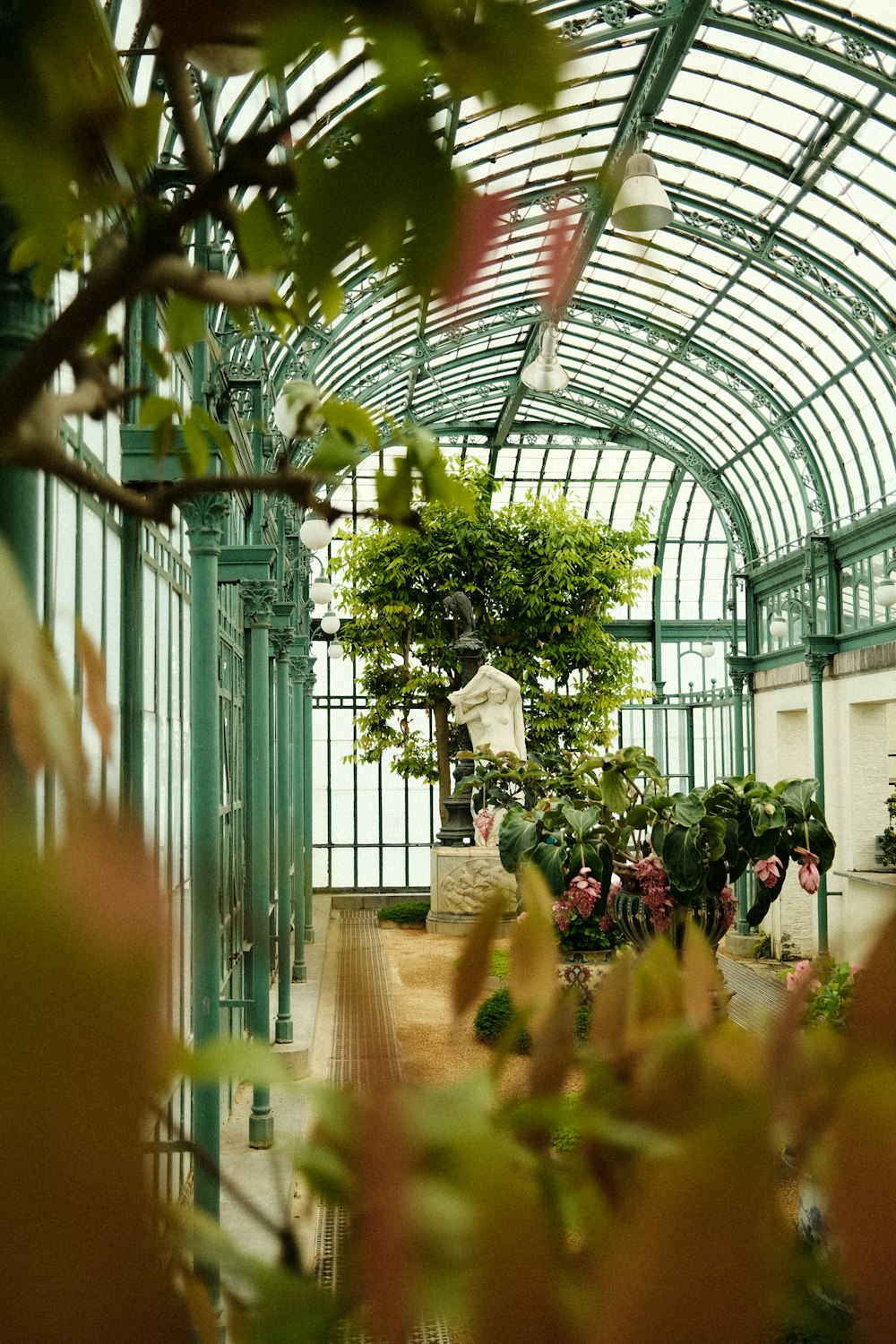 a room filled with lots of potted plants