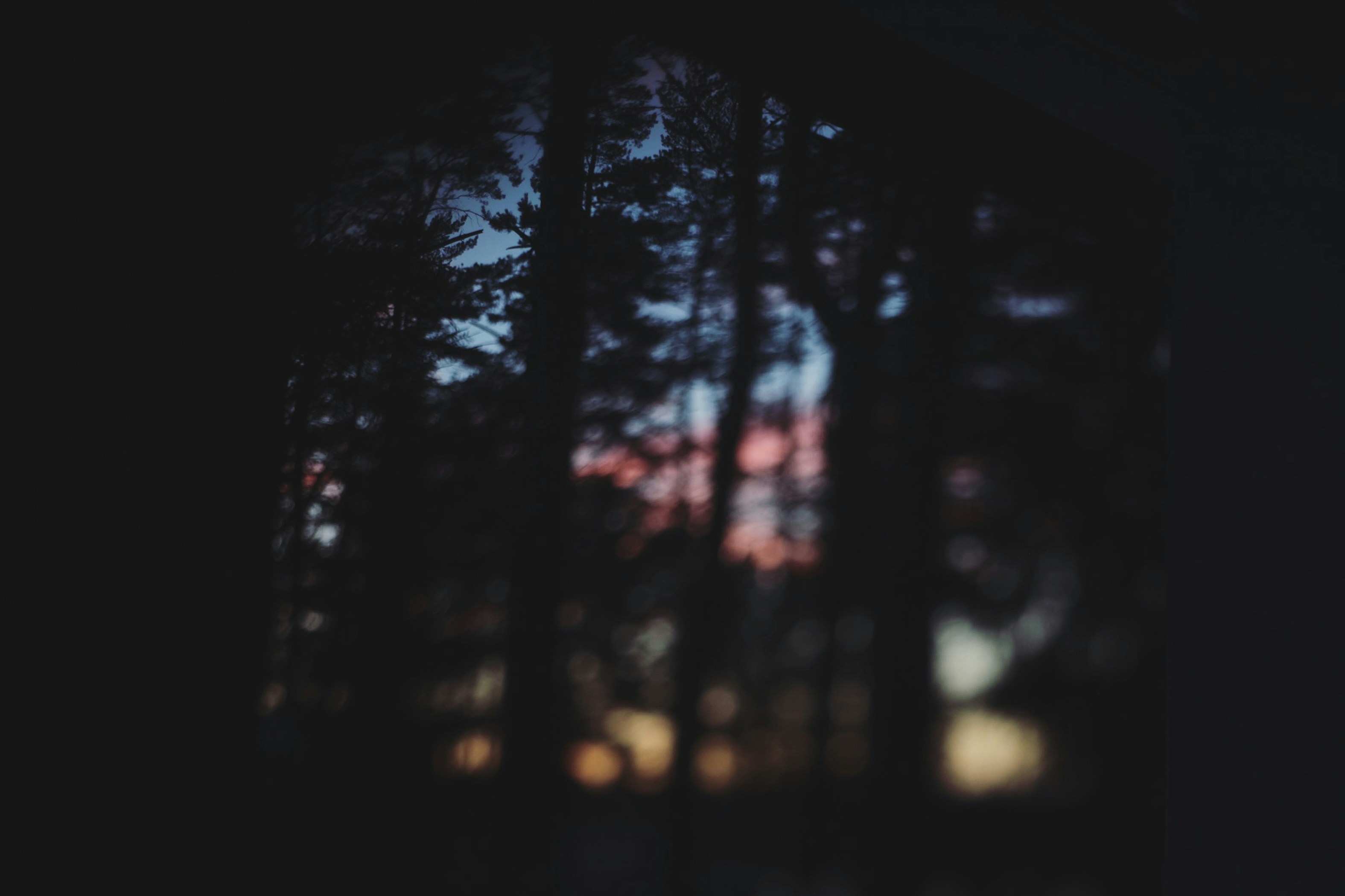 Wilderness mountain trail at twilight with dark pine forest silhouettes, moody atmospheric lighting