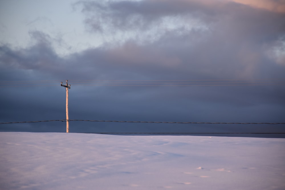 a telephone pole in the middle of a snowy field