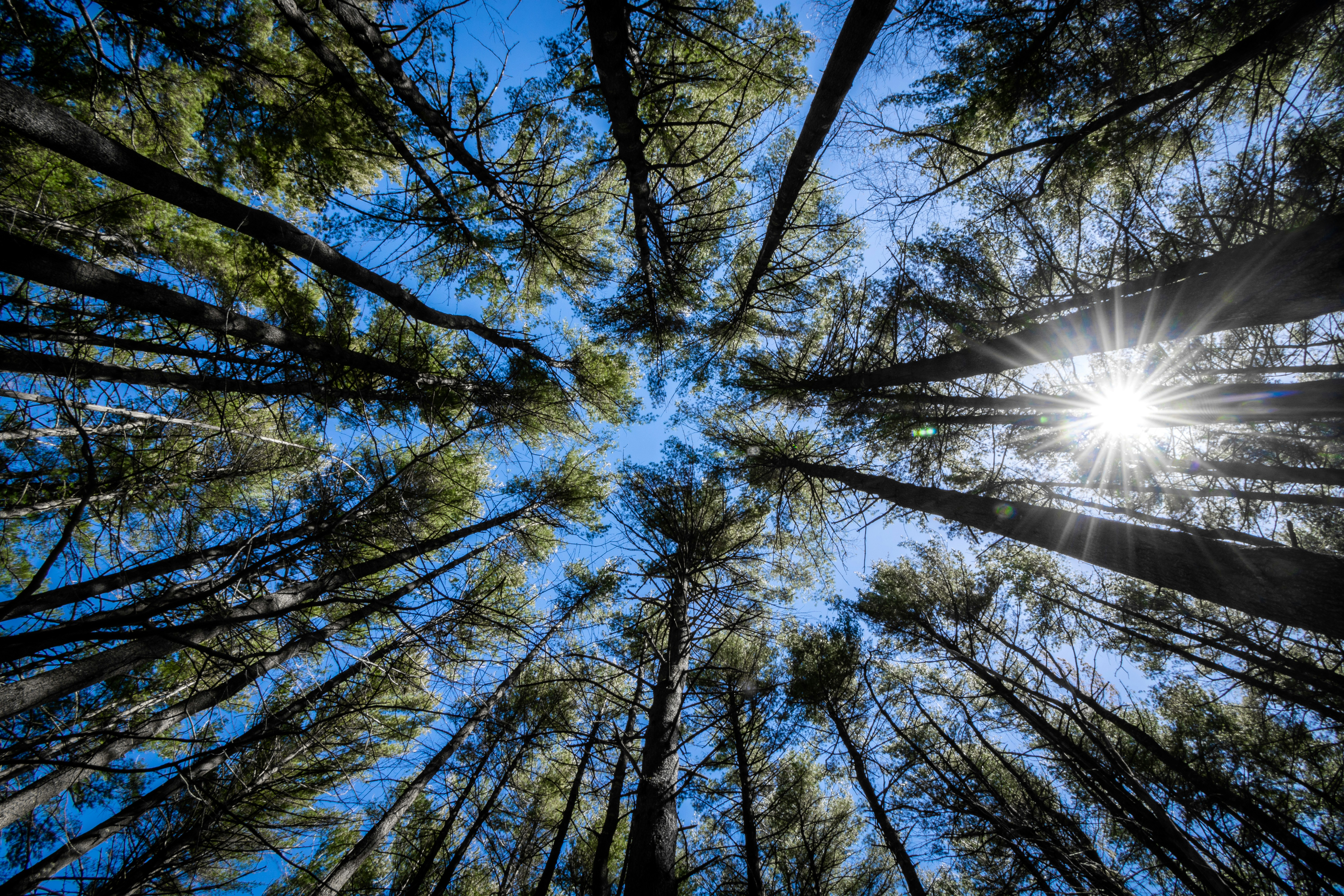 Photo by seewonderfulthings