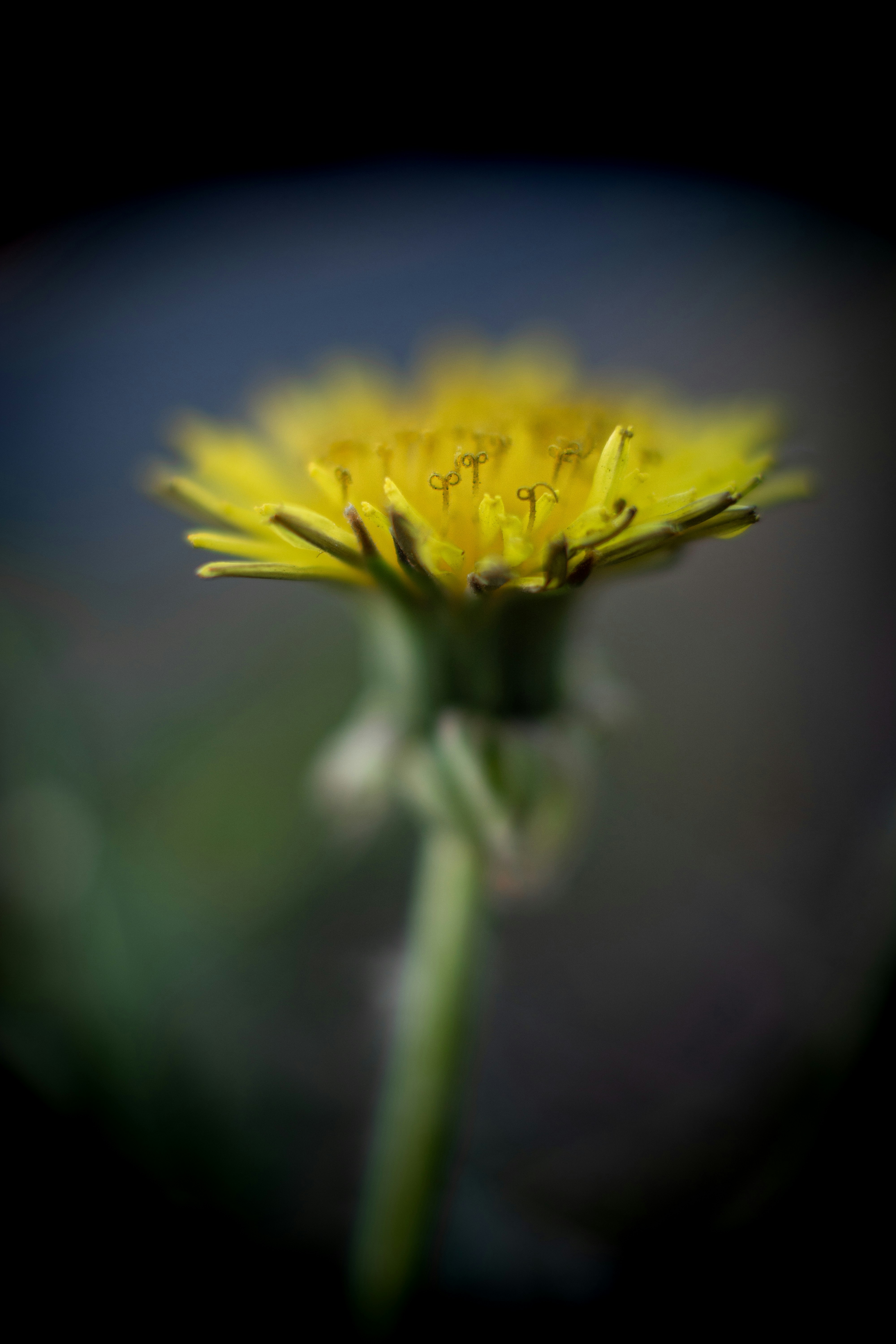 Photo by seewonderfulthings